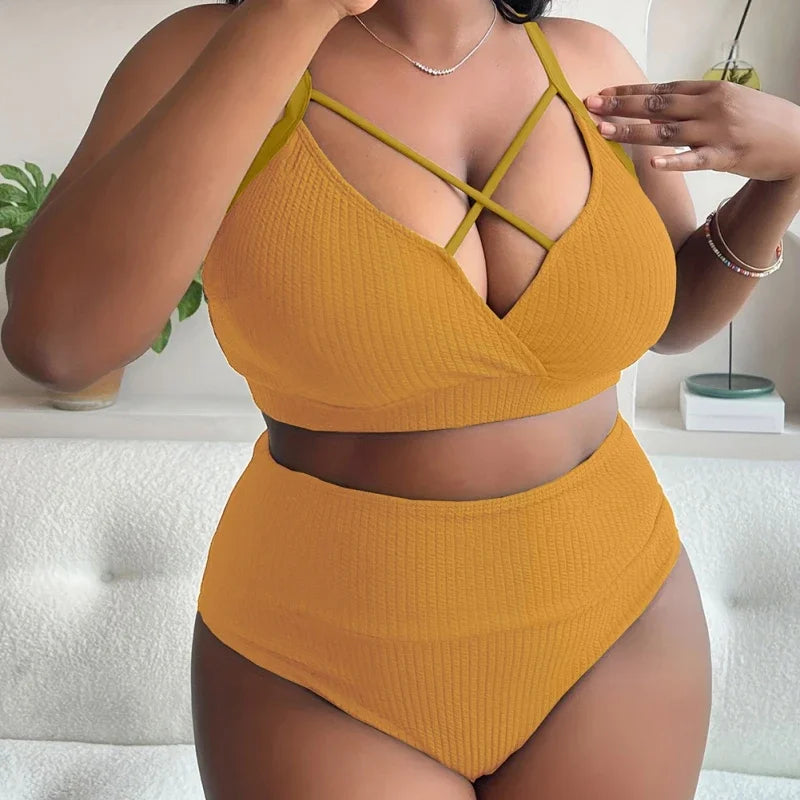 Sexy Plus Size High Waisted Women's Bikini Swimsuit
