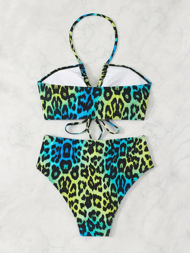 Sexy Gradient Leopard Print Halter Neck Women's Plus Size Bikini Set