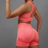 Sexy 2 Pcs Open Back Crop Top  & High Waist Lifting Shots Women's Yoga Set