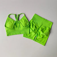 Cute High Waist Women's Top & Shorts 2 Pcs Sports Yoga Set