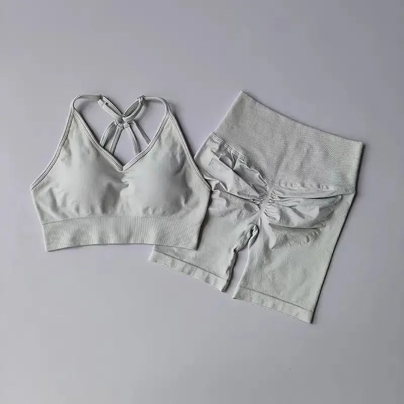 Cute High Waist Women's Top & Shorts 2 Pcs Sports Yoga Set