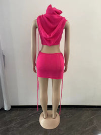 Sexy Knit Hollow Out Hooded Sweater Crop Top & Mini Skirt Set